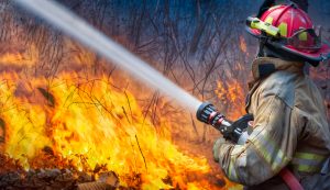 firefighters